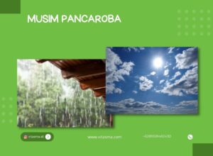 musim pancaroba