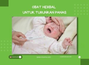 obat herbal penurun panas