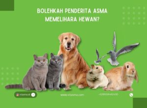 penderita asma memelihara hewan