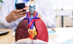 urutan sistem pernapasan