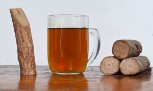 manfaat kayu bajakah untuk asam lambung