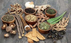 ramuan herbal