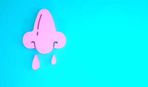 hidung meler
