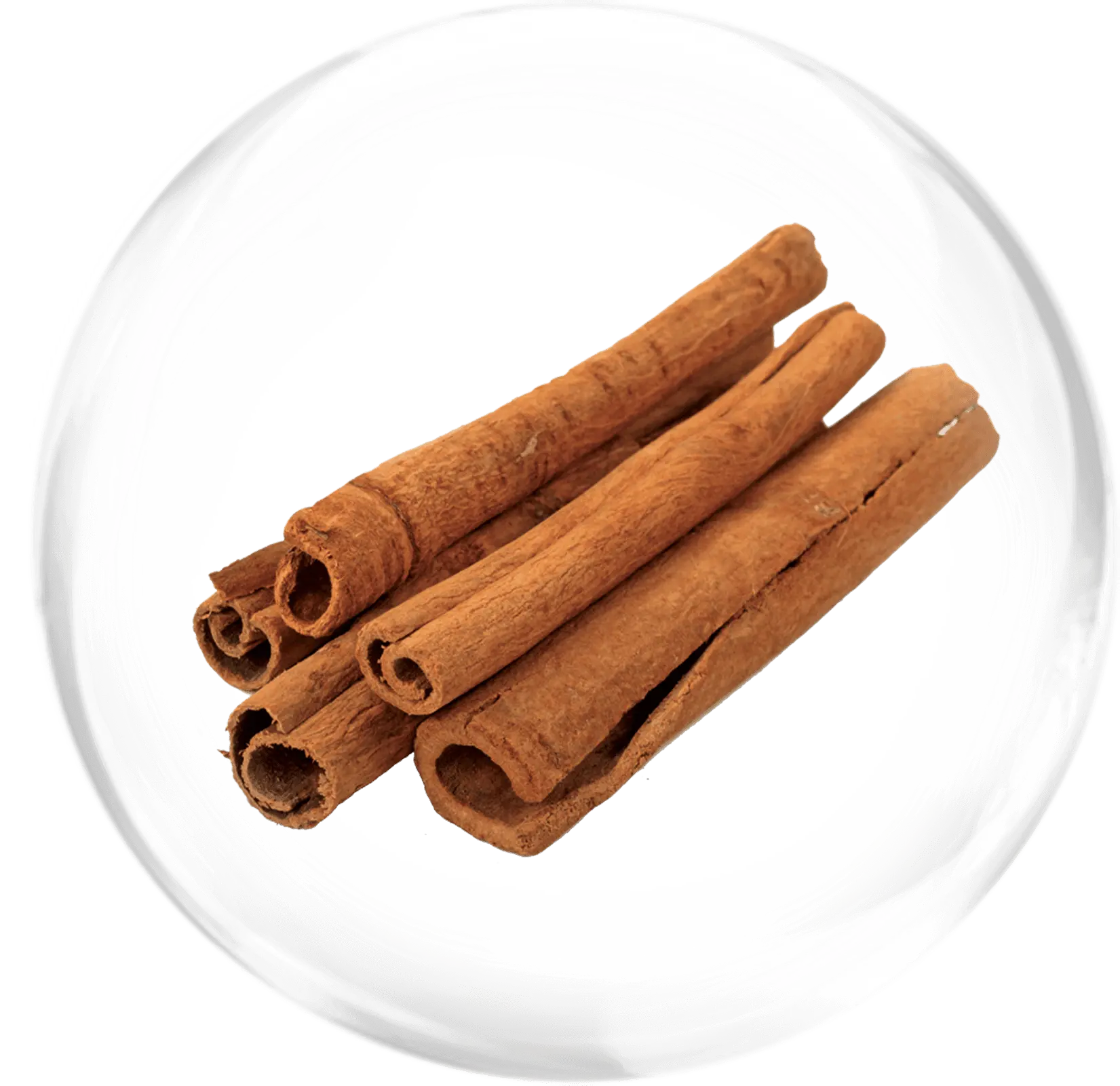 Kayu manis
